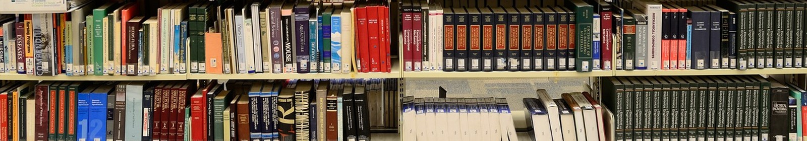 library shelves full of books