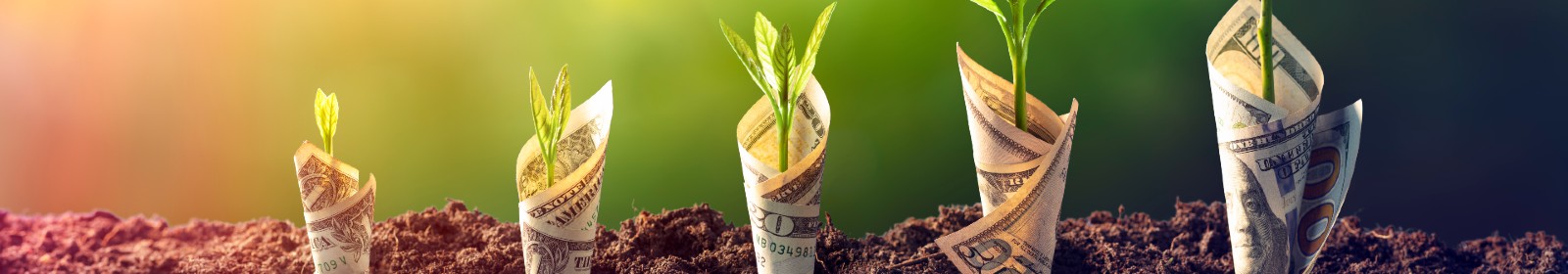 money growing out of the earth
